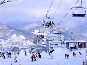 wisata korea winter