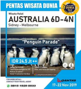 Wisata-Penguin-Australia-2019