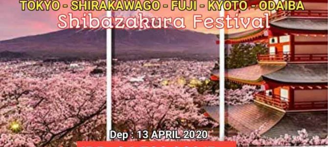 Wisata Halal Jepang – Festival Shibazakura 2020